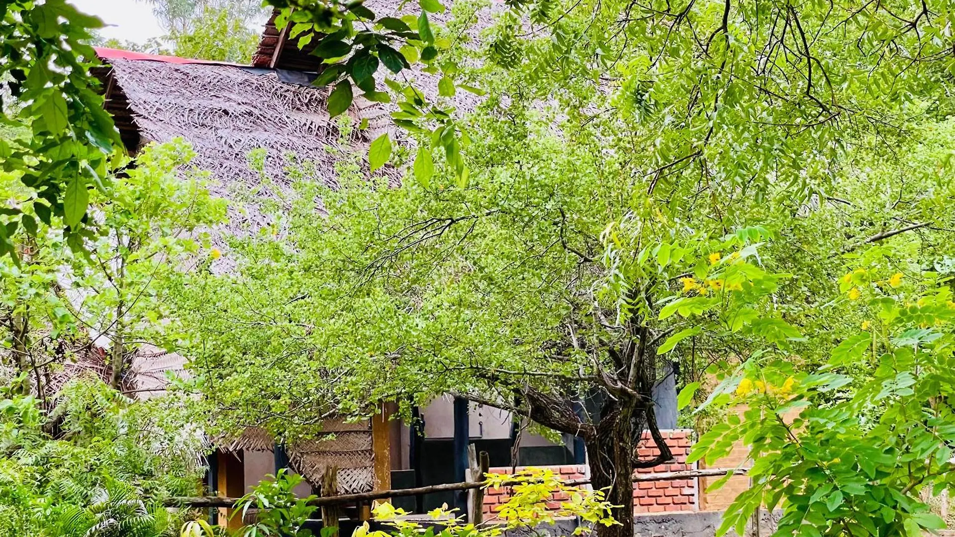 Sigiriya Coconut Shade Hostel 0*,  Sri Lanka